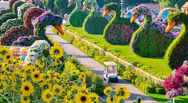 Dubai Miracle Garden