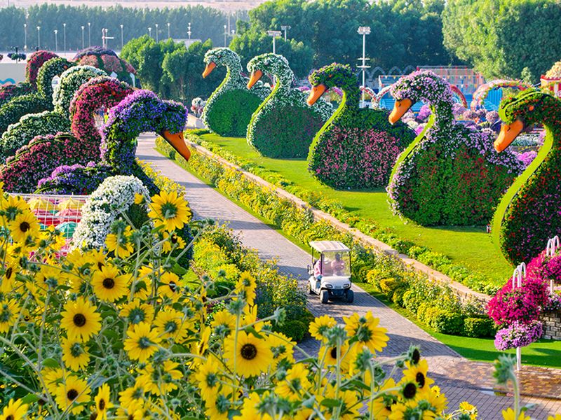 Dubai Miracle Garden