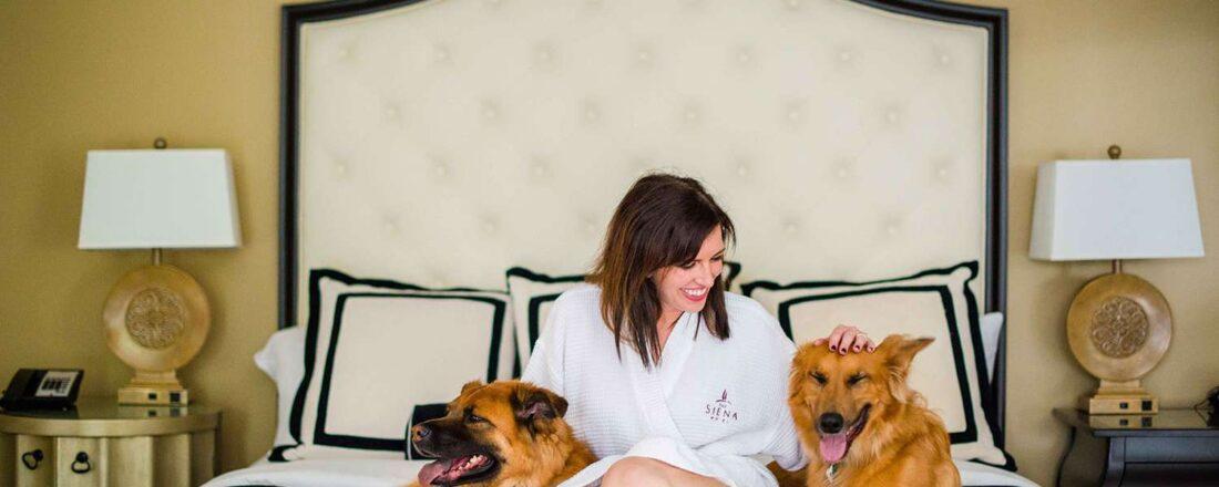 pet friendly hotels in Dubai