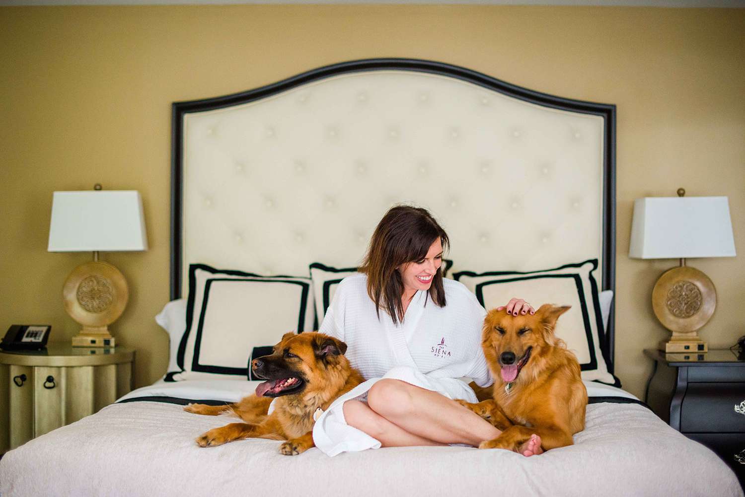 pet friendly hotels in Dubai